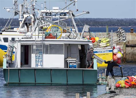Lobster Season Opens On Nova Scotias Eastern Shore