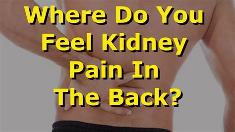 Where Do You Feel Kidney Pain In The Back Youtube