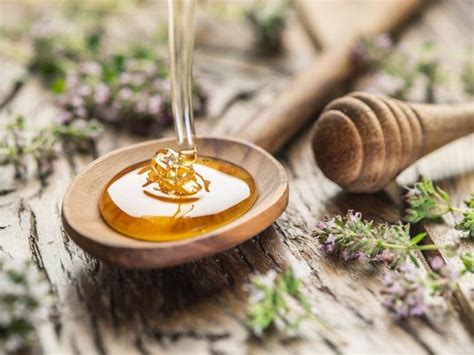 Honey Why You Shouldnt Avoid It This Winter Health News The Indian Express