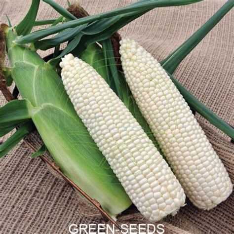 Products Asian And Tropical Vegetable Seeds
