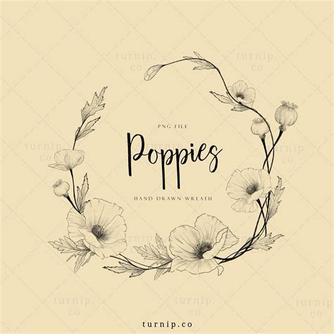 Flower Frame Png Flower Circle Flower Logo Flower Art Poppy Wreath