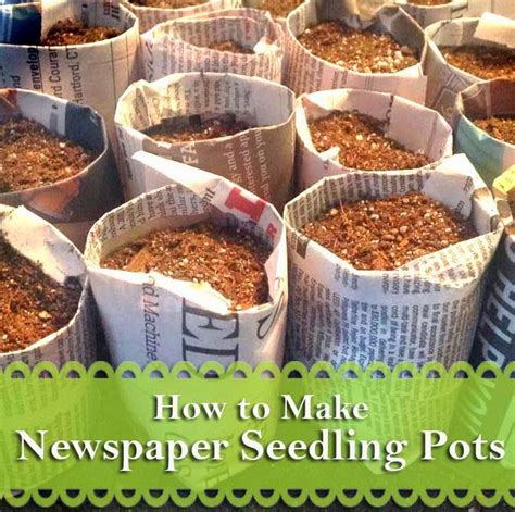 Katie S Farm Newspaper Seedling Pots