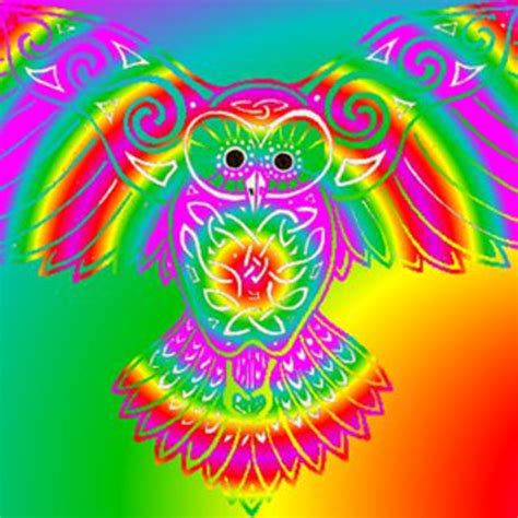 Rainbow Owl On Vimeo