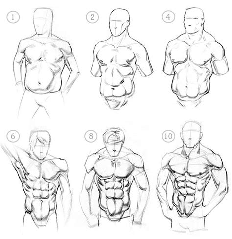 Proko How To Draw Abs Anatomy Human Figure Drawing Art Reference