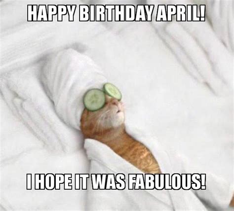 Happy Birthday April I Hope It Was Fabulous Pampered Cat Meme