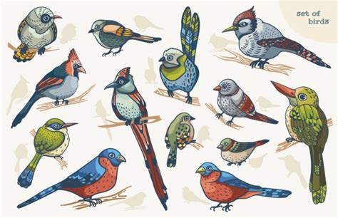 Bird Icons Colorful Realistic Birds Icons Set Isolared — Stock Vector