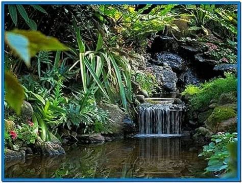 Living Waterfall Screensaver Windows 7 Download Screensaversbiz