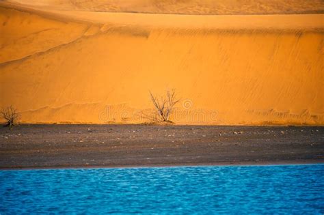 Desert Scene With Oasis Stock Photo Image Of Natural 273182088