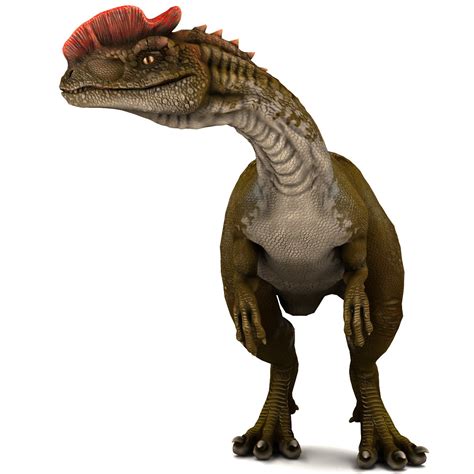 Dilophosaurus Dinosaur Modelled 3d Model