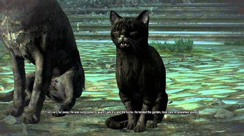 Check spelling or type a new query. The Witcher 3: Hearts of Stone - Scenes From A Marriage: Black Cat & Dog Violet Rose Caretaker ...