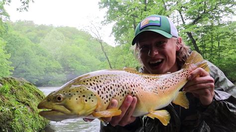 Trout Fishing Missouri Catch Of A Lifetime Biggest Brown Everfly