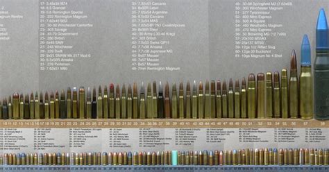 You know, those cartridges that our fathers, uncles, grandfathers and heroes have used, and have been ahead of its time somehow and just a pretty round. Complete rifle ammunition guide size comparison | All ...