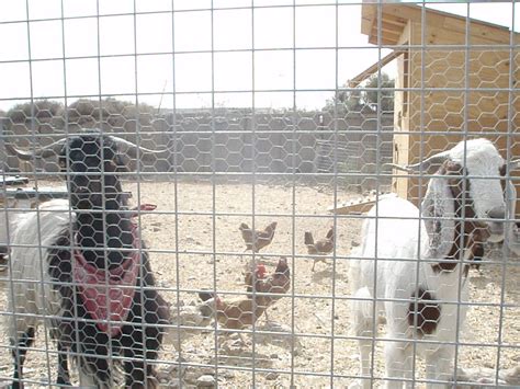 The Adventures of Johnny Northside: Hennepin County Jail Roster-O-Rama