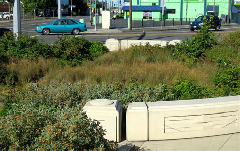 Sandy Boulevard Streetscape The Landscape Architects Guide To Portland