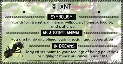 Little black ants typically nest in woodwork or masonry but sometimes come indoors and they are noticing the pests in homes may mean a larger infestation is at hand and located outdoors and/or inside. Ant Meaning and Symbolism | The Astrology Web