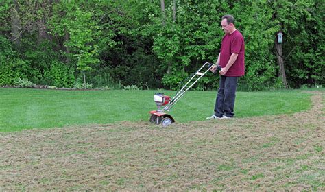 When To Dethatch The Lawn Mycoffeepotorg