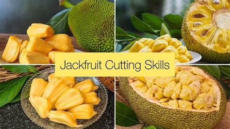 Amazing Jackfruit Cutting Skills Easily Cutting Village Style Youtube