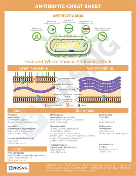 470860929 Pharm Antibiotic Cheat Sheet Pdf Nrsng Tools And