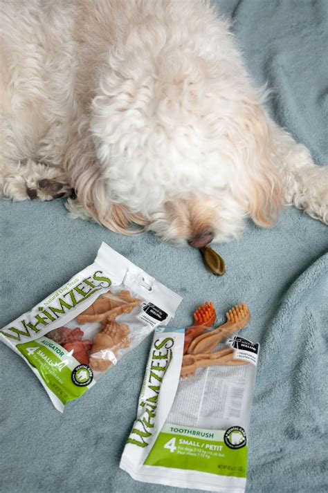 They have wet food, dry food, treats and various formulations for different life stages. Miso's Favorite Vegan Dog Food & Treats | Elephantastic Vegan