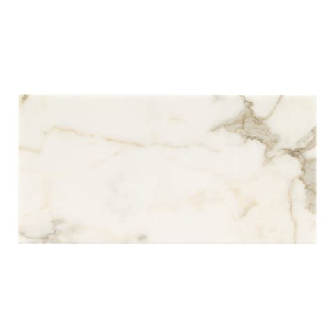 Msi Bianco Dolomite 12 X 24 Marble Field Tile Wayfair