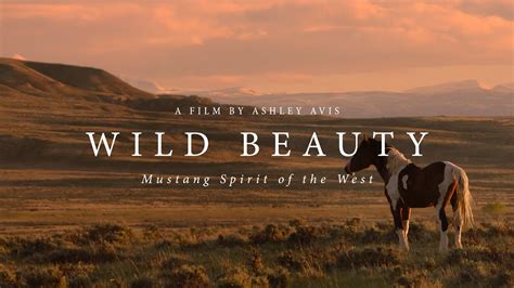 WILD BEAUTY Mustang Spirit Of The West Official Trailer YouTube