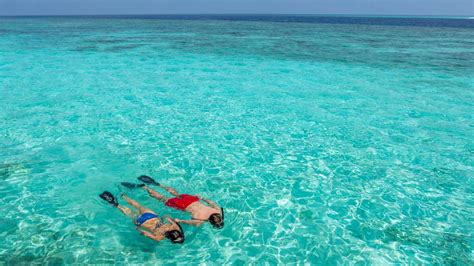 Marine Adventures For All At Hurawalhi Maldives