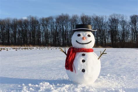Funny Snowman In Black Hat Stock Photo Image Of Card 166236922
