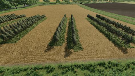 Variable Olivevine Widths V 10 Fs19 Mods Farming Simulator 19 Mods