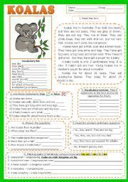 Reading carries the highest weightage. English worksheet: KOALAS. READING , comprehension (fully ...