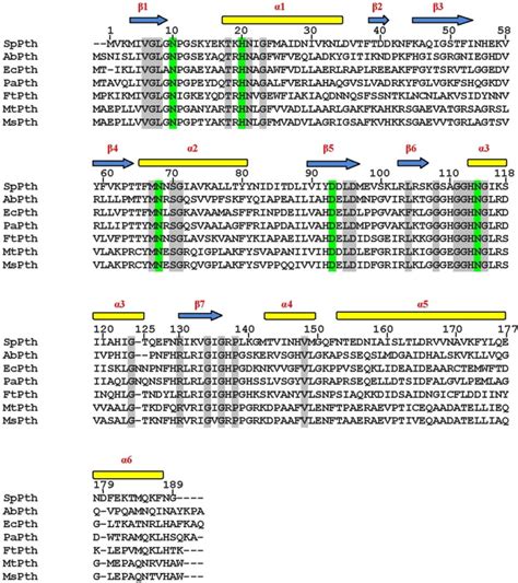 Sequence Alignment Of Sppth Enzyme With Pth Enzymes From Other Bacteria