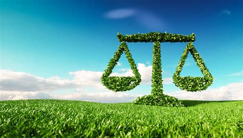 Environmental Law And Management The Law Firm Of Talampas And Associates