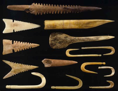 Сорняки известные по археологическим находкам с доисторического времени