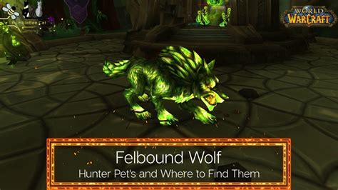 Felbound Wolf Hunter Pets Where To Find It In World Of Warcraft