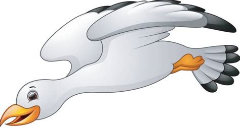 Best Cartoon Of A Funny Seagull Illustrations Royalty Free Vector