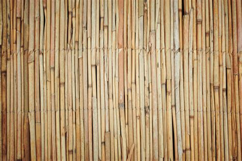 Best Bamboo Roof Construction Stock Photos Pictures And Royalty Free