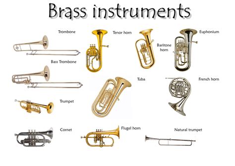 Learn English Vocabulary Through Pictures Musical Instruments
