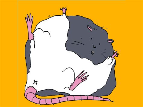 Cartoon Fat Rat