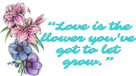 “love Is The Flower You Ve Got To Let Grow ” Xian T V Youtube