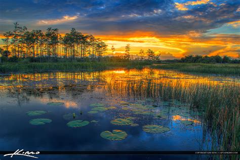Florida Wetlands Sunset River Of Grass