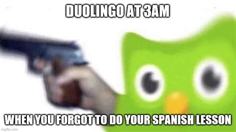 Duolingo Wants To Kill U Imgflip