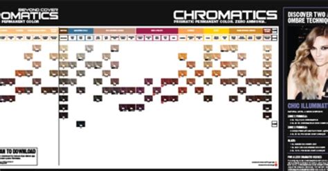 Redken Chromatics Shade Chart And Instructions 1 1 Dev Hair