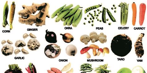 This article will give you an alphabetical. Alphabetical List Of Vegetables | The Garden