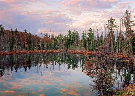 Visit Algonquin Provincial Park, Canada | Audley Travel