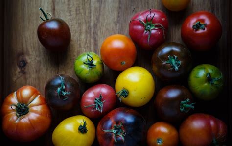 History Of The Tomato A Poisonous Reputation And Fruit Fights Manyeats