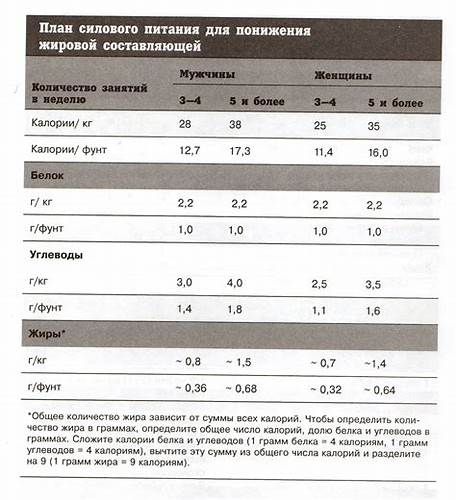 Сколько белка надо есть в день чтобы похудеть