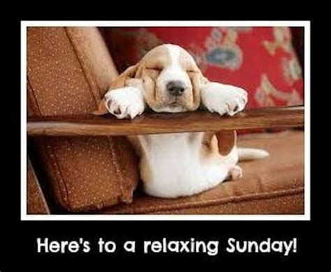 Heres To A Relaxing Sunday Sunday Sunday Quotes Happy Sunday Sunday