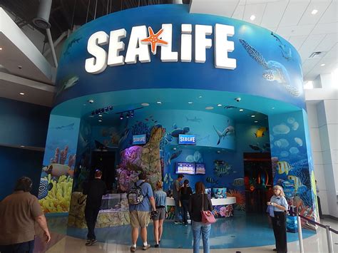 Sea Life Aquarium Orlando Opens May 4 2015 Theme Park