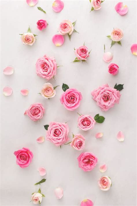 Background Wallpaper Bunga Cantik