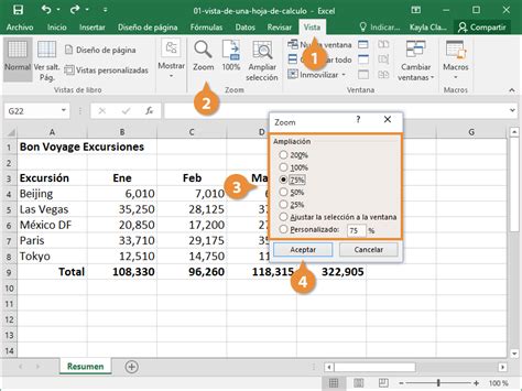 Tipos De Vistas En Excel