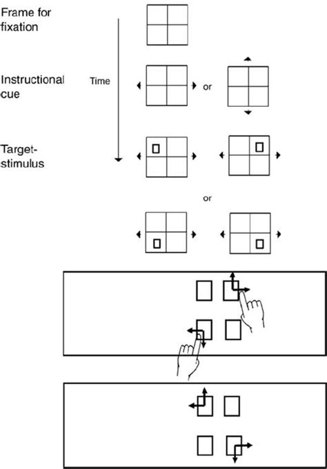 Schematic Description Of The Task Switching Paradigm Download